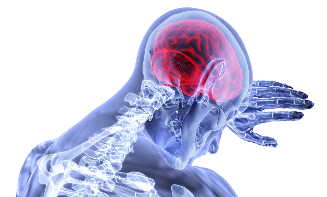 brain-3168269_1280