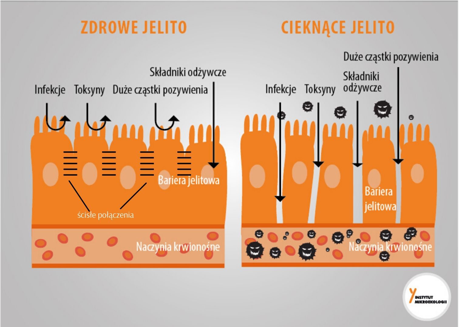 ścisłe połączenia