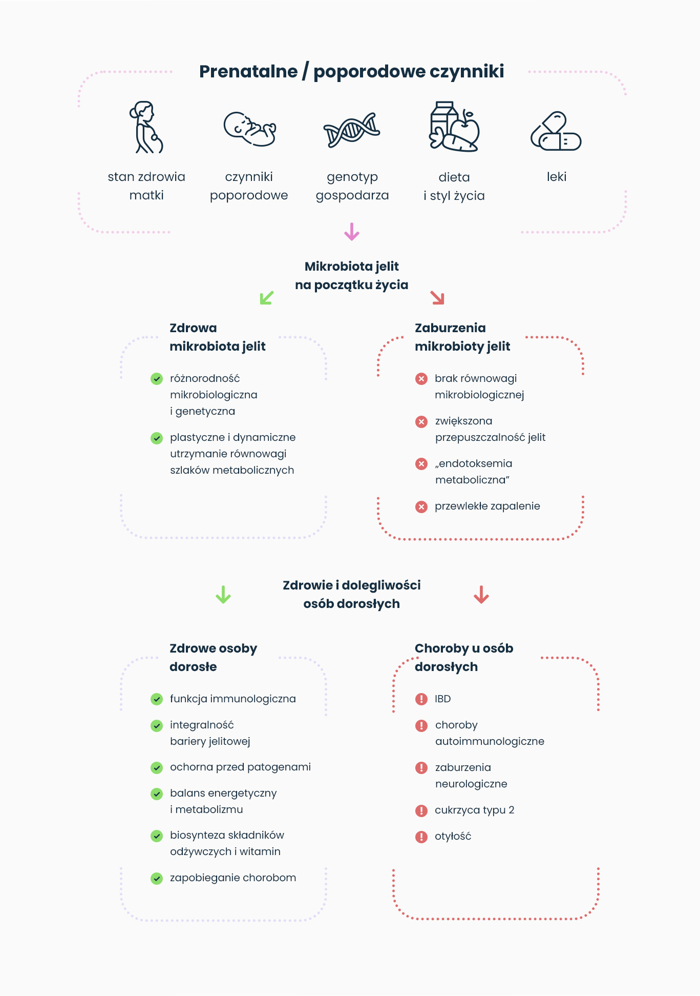 blog_probiotyki_prebiotyk_3