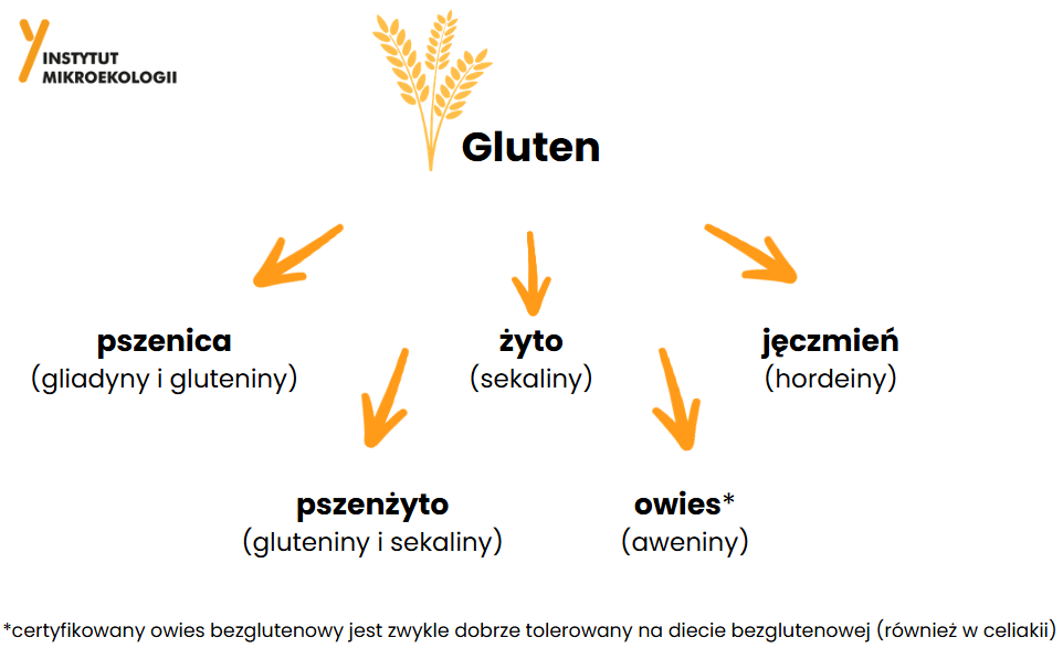 AD_grafika_podzial_glutenu
